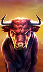 Black Bull